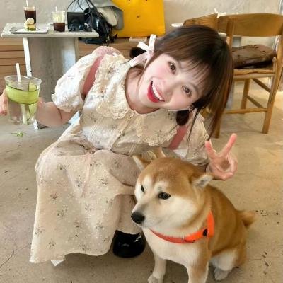 山有木兮木有心