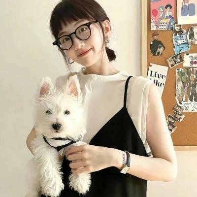 狗狗监护权